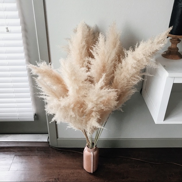 Other - Pampas Grass - Any Interest?? Let me know!!!